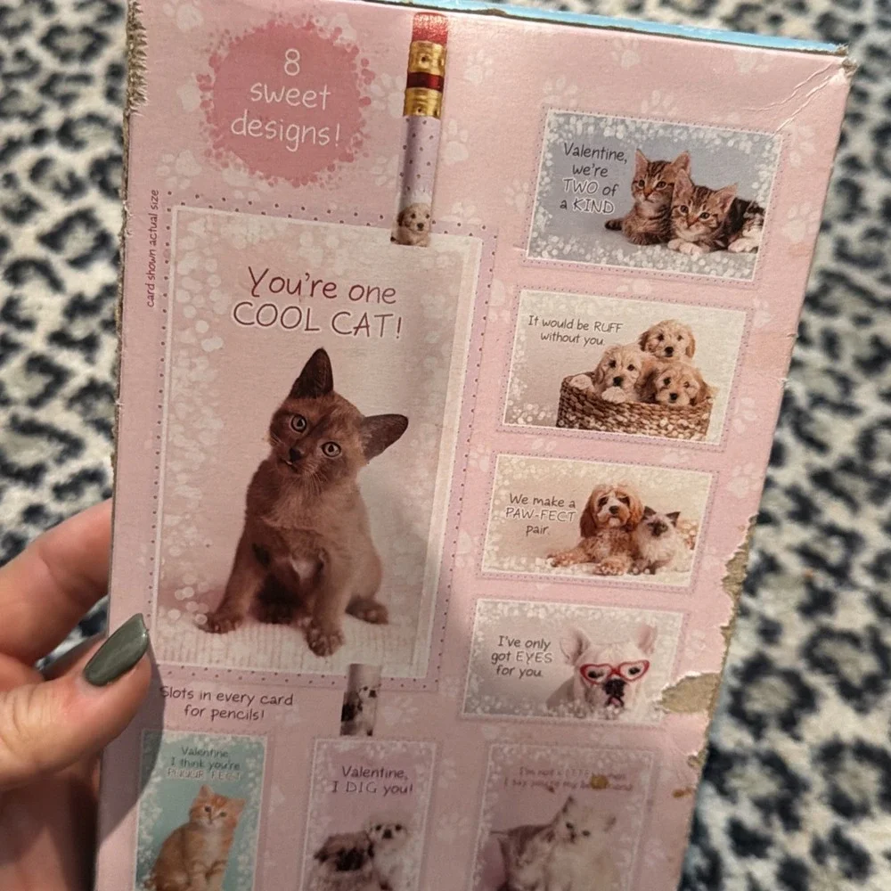 Rachael Hale 16 Valentines & Pencils Sealed-‎ Sweet Cats Dogs Classroom Exchange